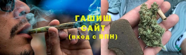 прущие грибы Верхний Тагил